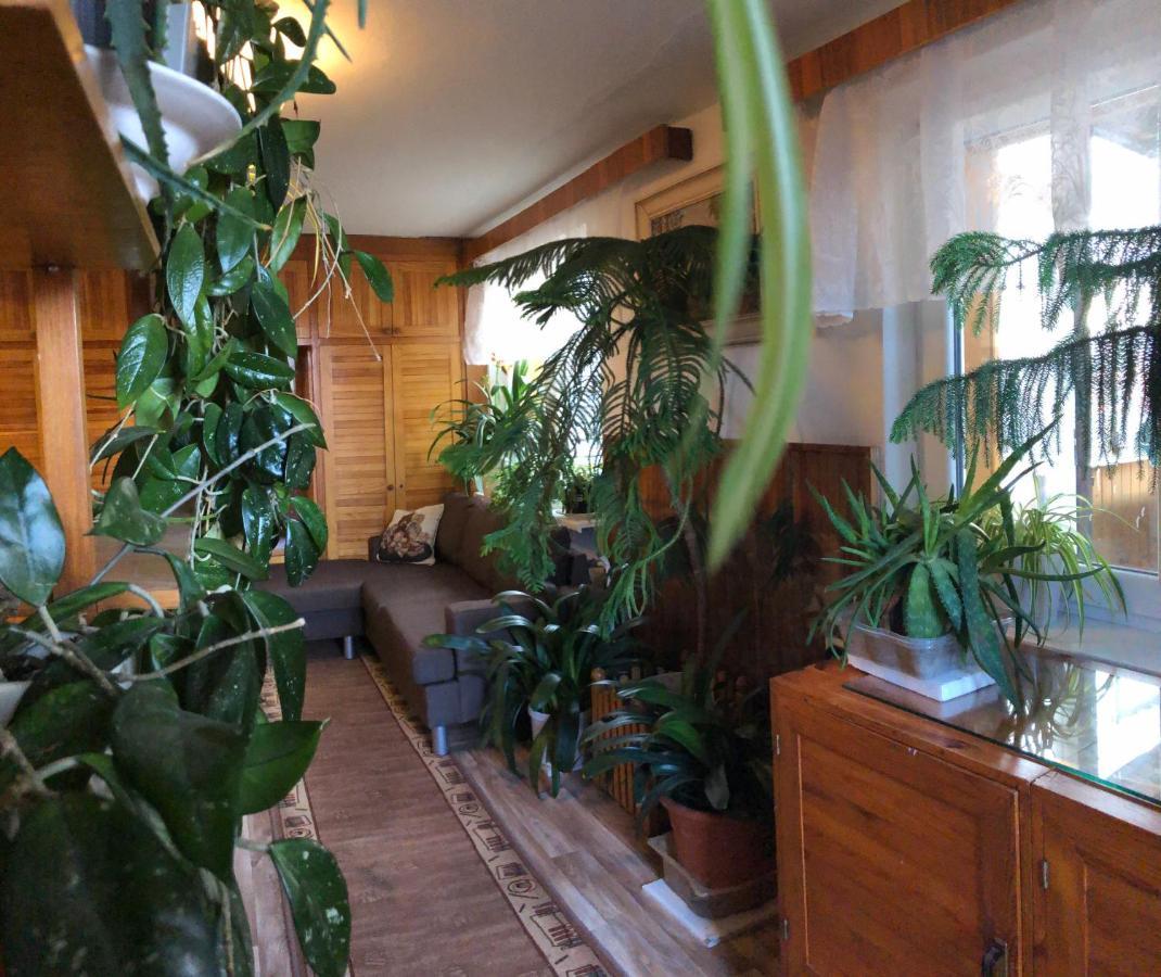Appartement Apartman Olesnik Extérieur photo