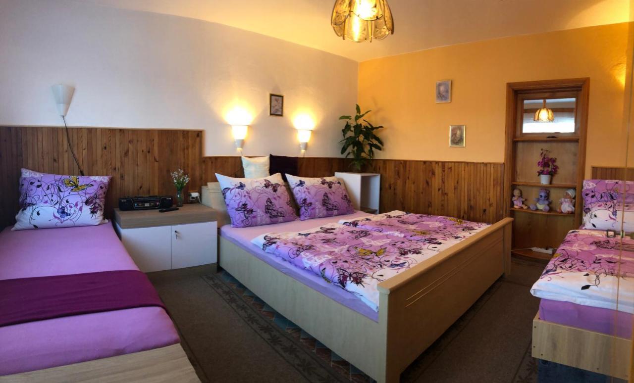 Appartement Apartman Olesnik Extérieur photo